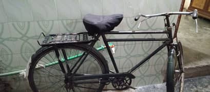 Baba Cycle for Sale