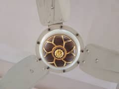 ceiling fan brand 1 year use