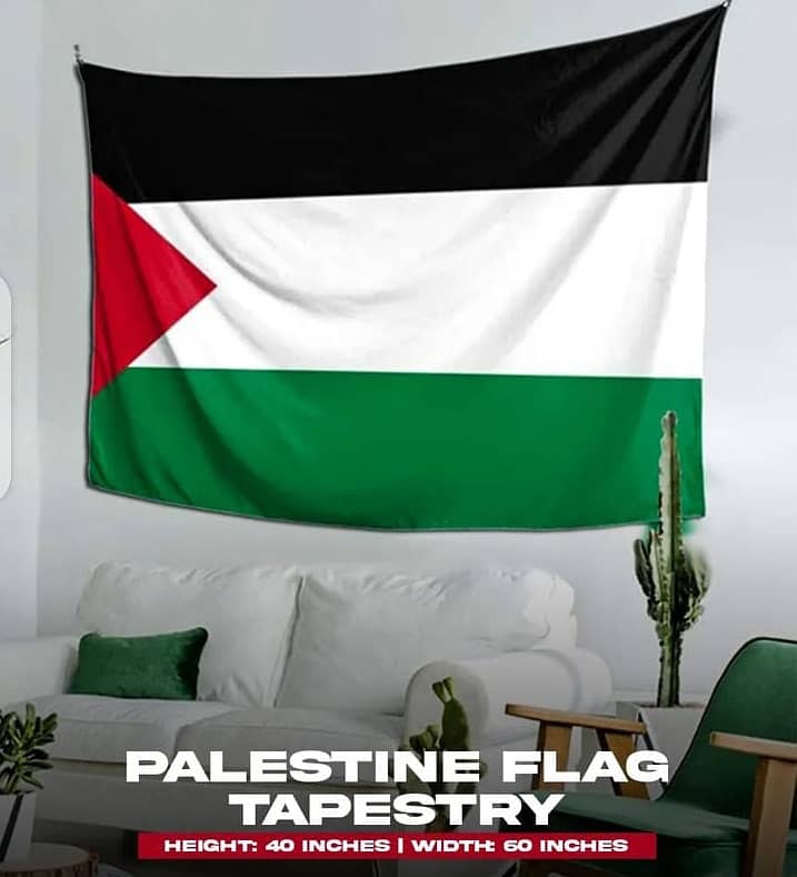 14 August Pakistani Flag | Punjab Flag for Office | Palestine Flag 10