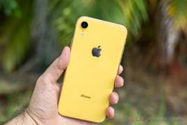 iphone xr yellow colour