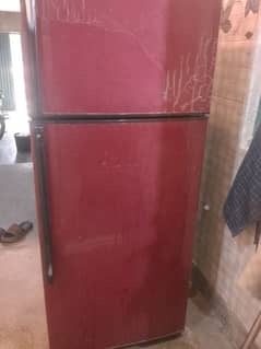 haier refrigerator