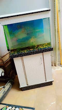 superb condition aquarium