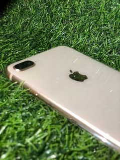 IPHONE 8 PLUS (256GB)         PTA APPROVED