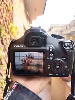 Canon D1100 with Zoom Lens EF-S 18-200