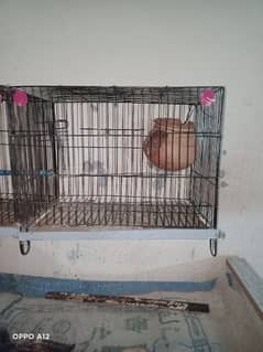 cage for sale