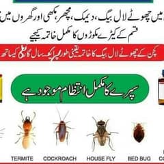 Fumigation Cockroaches Dengue Mosquito Spray, Termite Proofing Service