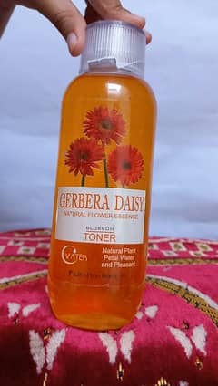 Gerbera Daisy Natural Flower Essence