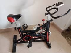 sports spin bike jumbo size