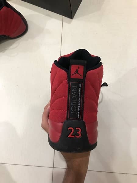 Air Jordan 12 Retro Reverse Flu Game 2