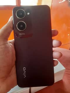 vivo