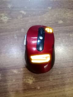 Computer Mouse