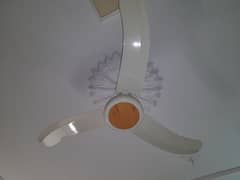 Ceiling Fan