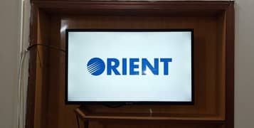 Simple Orient 32 inch Led for sale in reasonable price