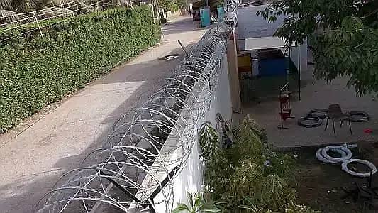 hotdipped Galvanized Chainlink Fence / Galvanized Chainlink Fence 1