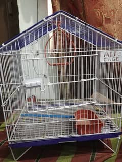 cage for pigeons / bugies