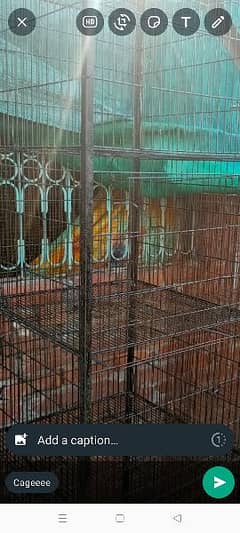 rabbit cage for sale