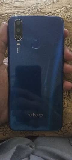 vivo