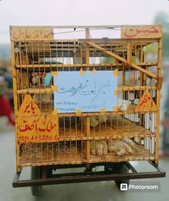 mandi sa chicken zainda Mall lana ka liye teyar karwaya final145000