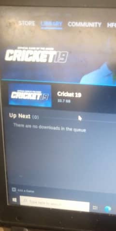 Cricket 19 ultimate edition