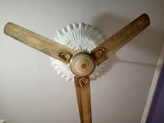 Pak Fan Celling fan 99.99%copper for Sale