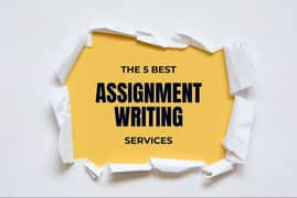 assignment hand writing service available