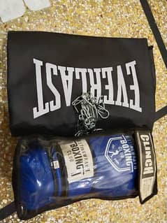 boxing bag with gloves imported