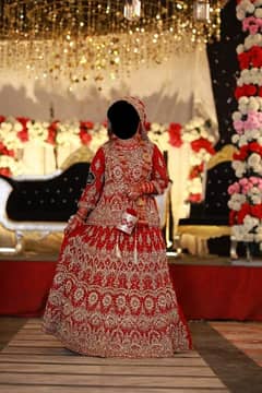 bridle dress mehroon color
