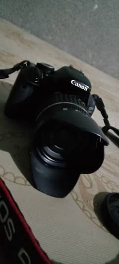 Canon Camra DSLR