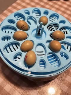 18 bird eggs incubator 
for pigeon, quails, partridge, parrots eggs