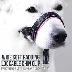 GoodBoy Dog Head Halter with Safety Strap - Stops Heavy Pulling