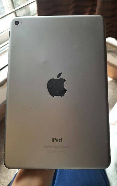 Ipad mini 4 2