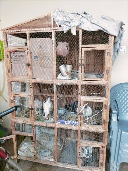 Big good quality wooden cage for birds 1