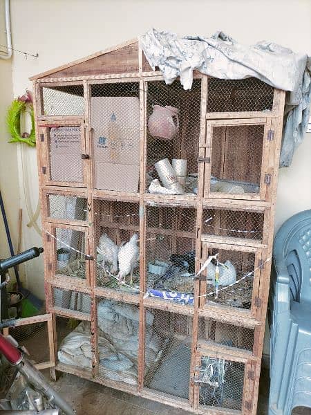 Big good quality wooden cage for birds 2