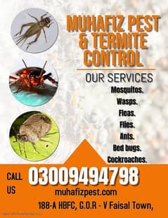 Deemak Control, Fumigation Service, Pest Control, Termite Control