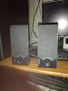 Audionic Wire Speakers