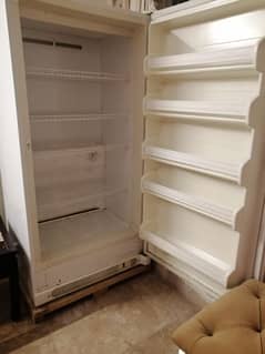 vertical freezer