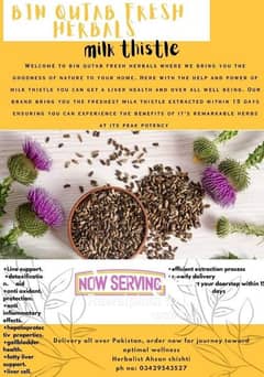 milk thistle seed