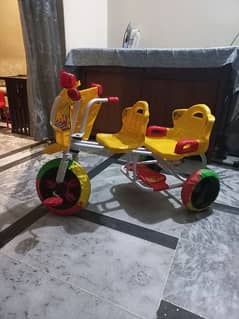 double seat tricycle