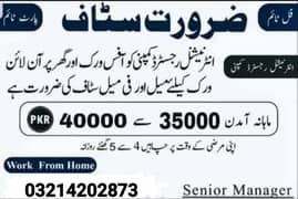 male and female staff required for online and office work