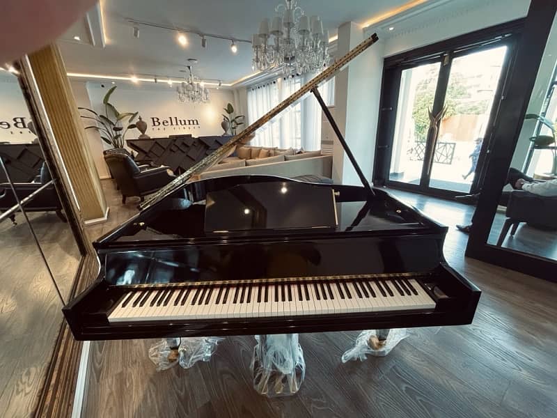 Grand piano / pool table / Sofa / keyboards / billiards / piano 12