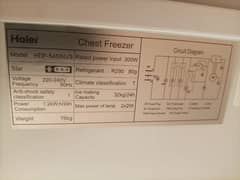 Full size Deep freezer