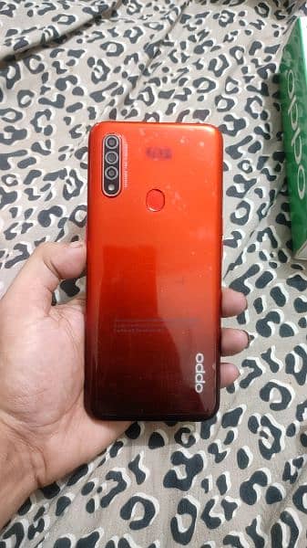 Oppo A31 Mobile 1