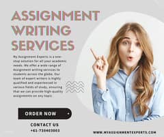 Assignment work service available