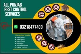 Mosquito Spray | Fumigation | Dengue Spray | Cockroach | Pest Control