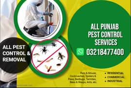 Termite Control,Pest Control,  Fumigation Spray, Deemak Control dengue