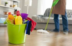 house cleaning and shifting