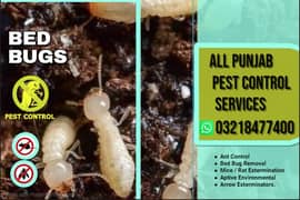 Mosquito Spray | Fumigation | Dengue Spray | beds bug | Pest Control