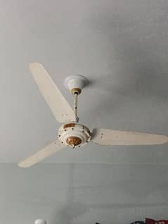 3 fans for 17000