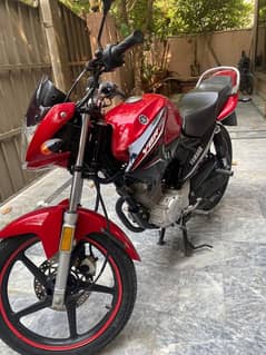 Yamaha YBR 125 2021