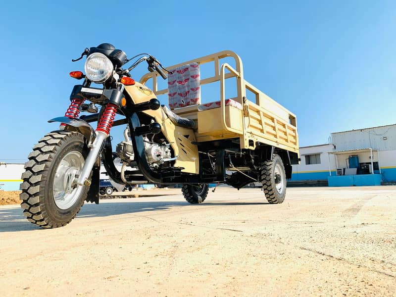 Classic 110cc cargo loader rickshaw 2